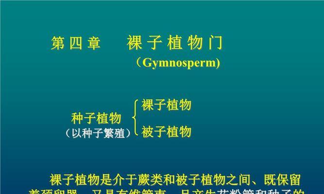 常见的裸子植物及其特点（探究裸子植物的形态、生态、分布及其作用）