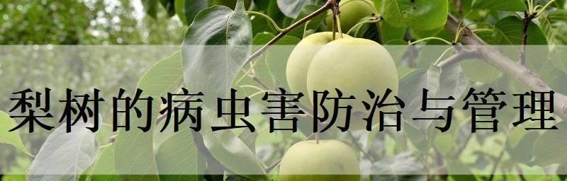 马醉木常见虫害及防治方法（认识马醉木虫害，从根源开始预防）