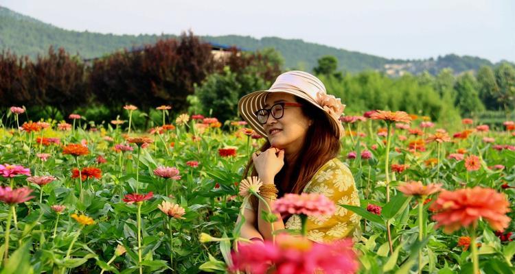 百日红花（揭秘百日红花的品种、特征及栽培技巧）