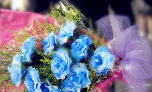 玫瑰花的寓意与送花礼仪（玫瑰花几朵代表什么？送花需注意什么？）