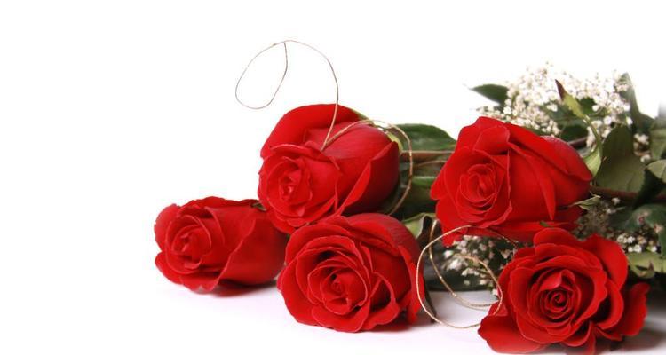 解读11朵红玫瑰的花语（向TA表达爱意，你需要知道的11个含义）