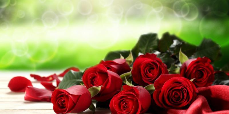 31朵玫瑰花的深刻寓意（传递心意的31朵玫瑰，代表什么？）