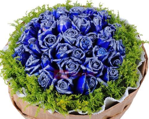 蓝玫瑰花的象征意义与文化内涵（解读蓝玫瑰花背后的情感寓意）