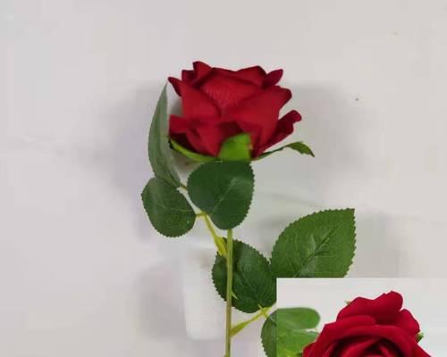 探寻三朵玫瑰的深层含义（解读玫瑰花的神秘语言）