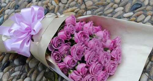 一朵紫玫瑰的象征意义（寓意深远的紫色花卉及它们在文化与生活中的含义）