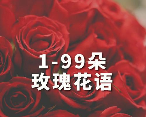 99朵玫瑰花花语的深刻内涵（探寻99朵玫瑰花花语的各种含义）