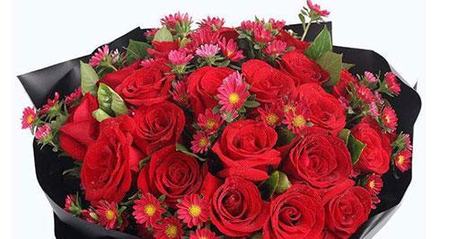 8朵红玫瑰花的含义与象征（解读8朵红玫瑰花的不同寓意，让你送花更有心）
