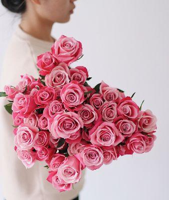 一朵粉色玫瑰的花语（探寻玫瑰所代表的情感与含义）