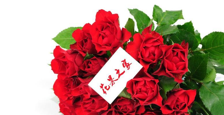 三朵红玫瑰的寓意（揭示三朵红玫瑰所代表的情感、精神和文化内涵）