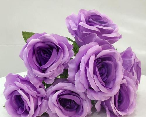 探秘紫色玫瑰的花语与寓意（神秘而优雅的紫色花卉）