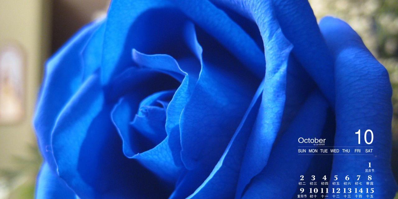 蓝色玫瑰花语（浪漫寓意与赏析）