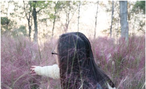 虎尾草花语（探索虎尾草的八种象征意义）