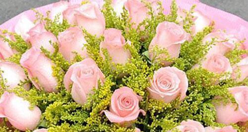 粉玫瑰的美丽与意义（探究粉玫瑰代表的含义与使用场景）