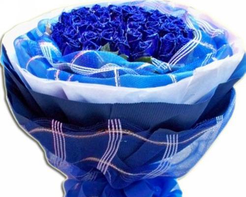 蓝色的绚烂-解读蓝玫瑰的意义（蓝色花海中的奇迹，蓝玫瑰的象征、蓝色的力量）