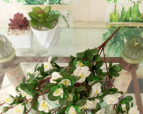 杜鹃干花水养多久开花（花艳似锦，水浸长存）