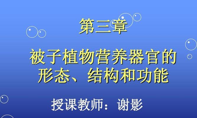 植物的器官分类（探究植物的不同器官结构及其作用）