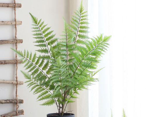 办公室植物装饰（绿色环保，呼吸更清新；美观大方，助力工作）
