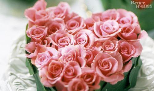 花语大揭秘——玫瑰花的颜色寓意（红、白、粉、黄、紫、橙……你知道吗？）