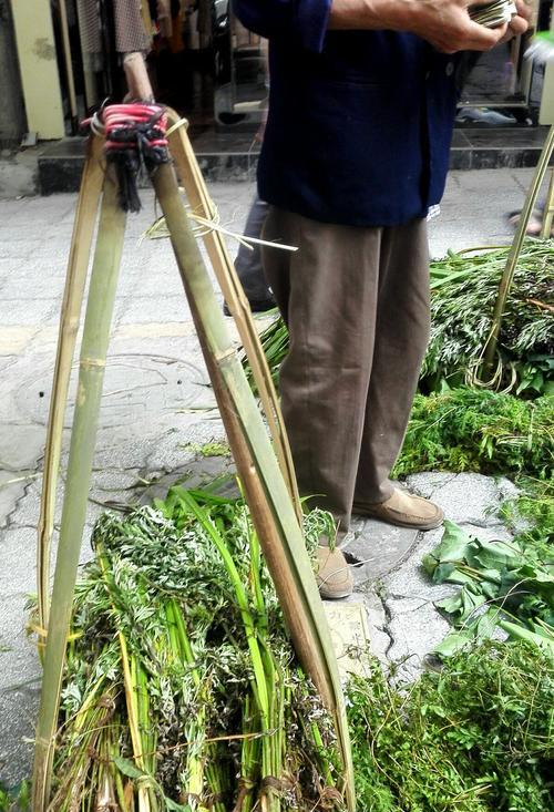 端午节，艾草的芬芳寓意（挂艾草，传承古老文化）