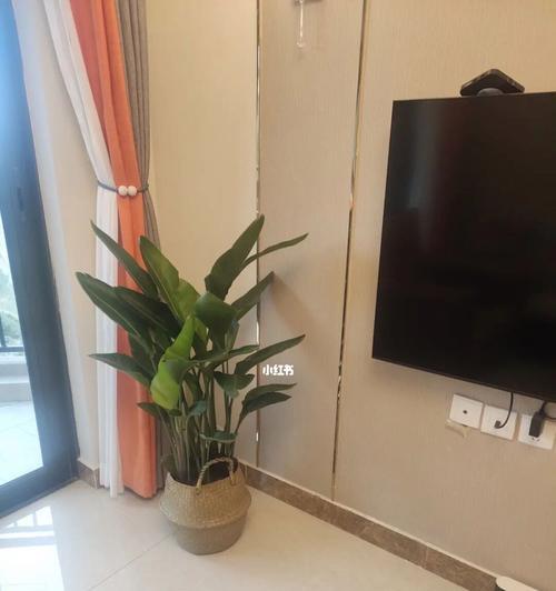 客厅绿植的选择（为您的家居增添生机）