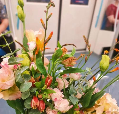 送什么花给老师？——教师节献礼指南（关注老师个性，用鲜花传达感激之情）