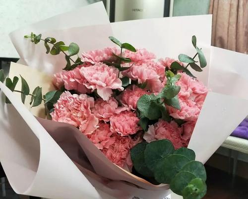 康乃馨的五种花色（探索康乃馨的花语和魅力）