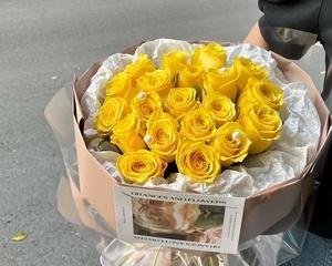 33朵黄玫瑰的意义（揭开33朵黄玫瑰的神秘面纱）