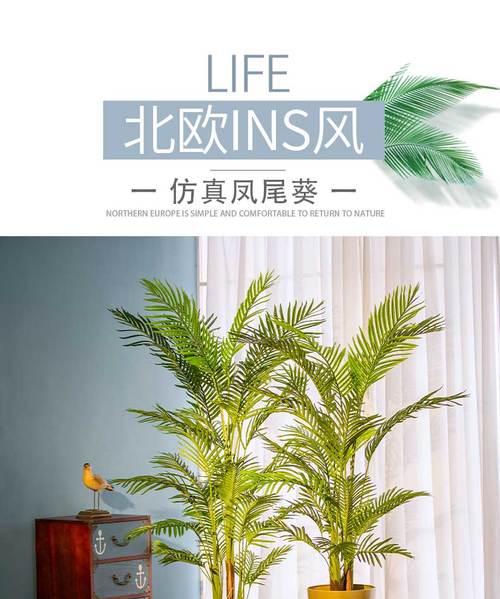 凤尾竹与散尾葵的区别（探究两种植物的形态、生长环境与特征）