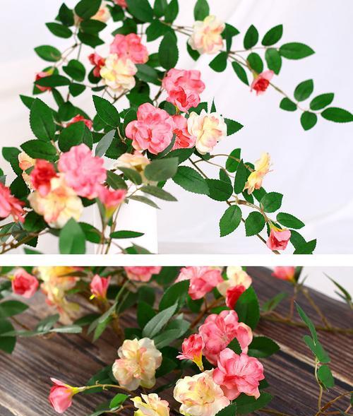蔷薇花的鲜花养护之技（教你如何将蔷薇花的美丽保存更久）