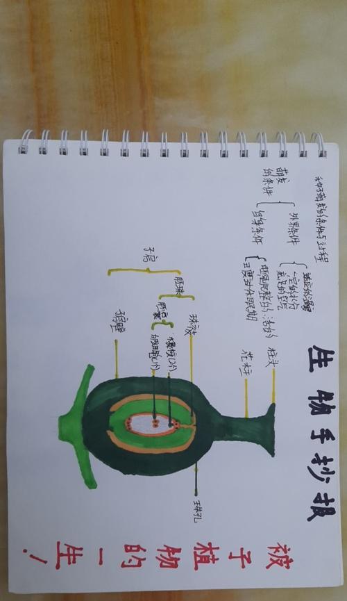 被子植物的主要特征（了解被子植物的分类、生态和进化）