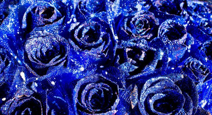 蓝色玫瑰花的花语与象征（探寻蓝色玫瑰花的隐藏情感与寓意）
