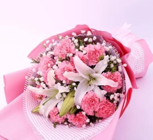 用3朵康乃馨传递情感（康乃馨的代表意义及其寓意）