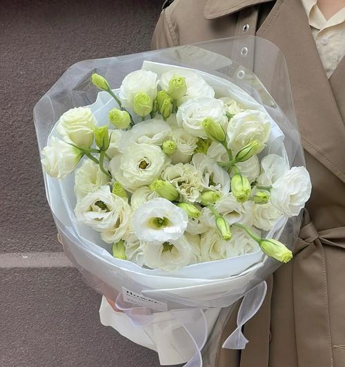 不同颜色洋桔梗的花语（探索花语的世界，感受洋桔梗的多彩生命）