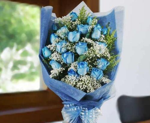 蓝色妖姬玫瑰花的花语（一朵代表着神秘和神奇的花）