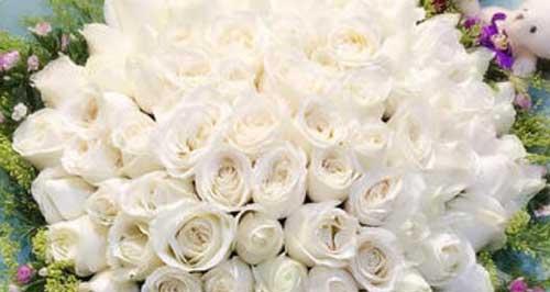 白玫瑰的花语（探寻白玫瑰背后的含义）