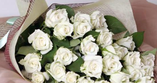白玫瑰11朵花语（传递爱与祝福的完美选择）