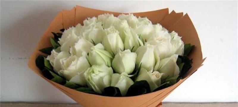 11朵白玫瑰的花语（11朵白玫瑰所表达的含义和文化背景）
