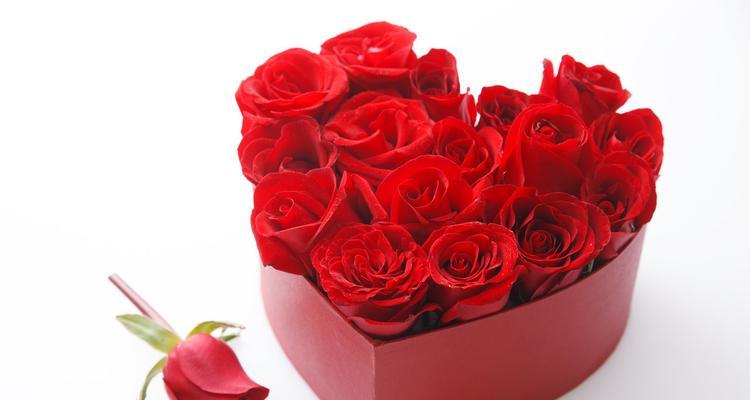 12朵玫瑰花语的真正含义（解读玫瑰的不同颜色和数量所代表的意义）