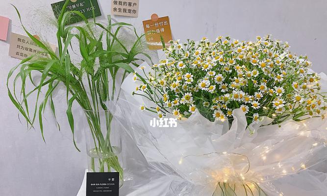 洋甘菊花语及寓意——解读这朵小清新的花（洋甘菊寓意、象征和传说等各方面的详细介绍）