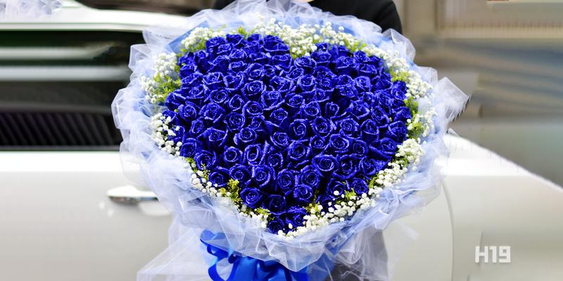 蓝色满天星的花语（寓意深远的蓝色花朵，你知道它所代表的含义吗？）