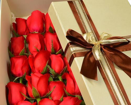 送两朵玫瑰花的含义（玫瑰花象征的爱情和友情）