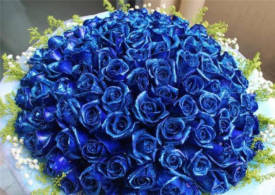 碎冰蓝玫瑰的花语与寓意（探究花语、色彩和寓意，让碎冰蓝玫瑰更美丽）