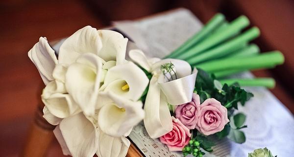 白色马蹄莲的花语与意义（一朵纯洁的白色花朵，背后隐藏的含义与象征）