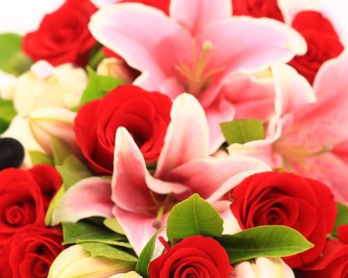 12朵玫瑰花的花语——爱情、感恩和尊重（向心爱的人表达深情，感谢和敬意）