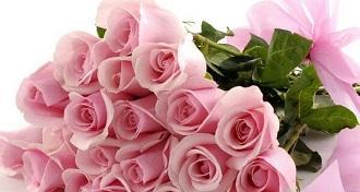 解读19朵粉色玫瑰的含义（浪漫而充满爱意的礼物送人，）