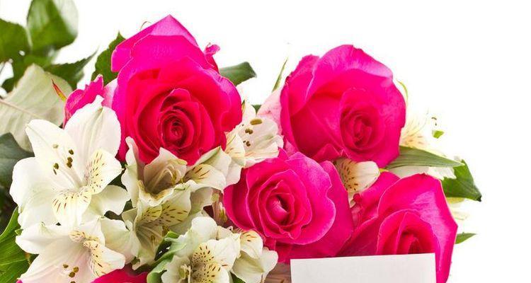 18朵玫瑰花的花语与寓意（感情之花的传达与表达）