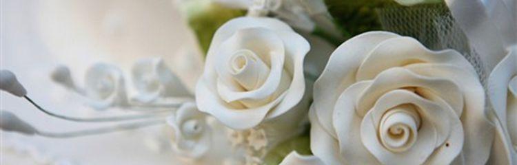 白玫瑰的象征意义（探寻白玫瑰的内涵及文化传承）