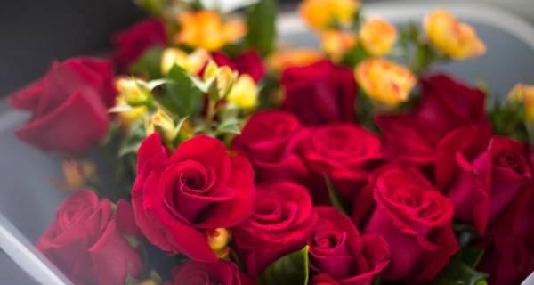 19朵红玫瑰的花语含义（传递浓浓爱意的花束）