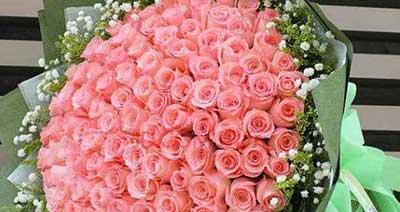 18朵玫瑰花代表的含义及象征（传递爱情、友谊和尊敬的经典花礼）