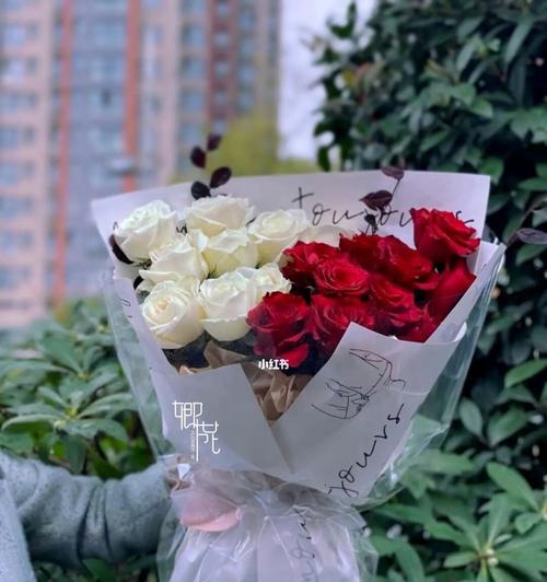 白玫瑰红玫瑰的花语与文化内涵（传达爱情与敬意的两种花色，了解其中的代表意义）